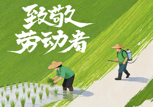 五一，致敬平凡 致敬不凡